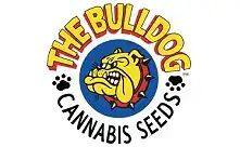 The Bulldog Seeds Dutch marijuana seeds