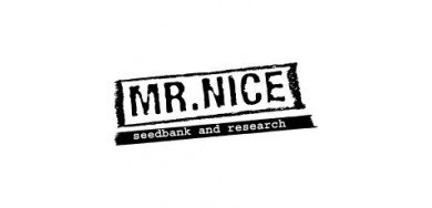 Mr Nice
