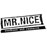 Mr Nice