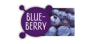 Blueberry