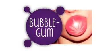 Bubblegum