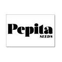 Pepita Seeds Pepita Seeds