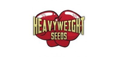 Heavyweight Seeds