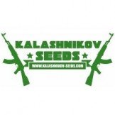 Kalashnikov seeds
