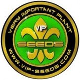 Vip Seeds