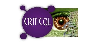 Critical