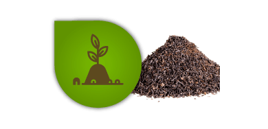 Tierra para Cultivar Marihuana