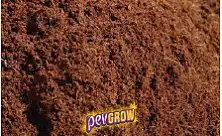 Kokosa substrāts kānepes audzēšanai