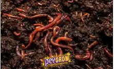 Биохумус от червеи (Earthworm Castings)