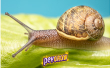 Pesticides against snails and slugs
