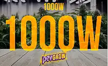 Комплекти світла 1000 Вт