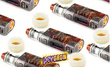 Kontsentraadi aurustid ja vaha penid