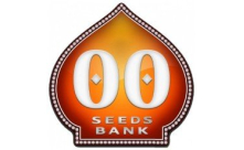 00 Seeds CBD