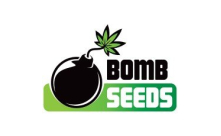 Bomb Seeds CBD