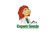 Expert Seeds CBD
