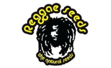 Reggae Seeds CBD