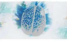 Extratos e Tinturas Naturais