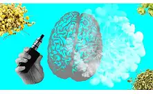 Vape-erako Belar Lehorak