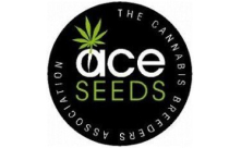 Ace Seeds CBD