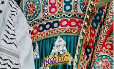 Насіння каноплі Афгані