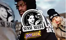 Sensi Seeds fännitooted