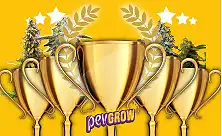 TOP 50 kanepisorti