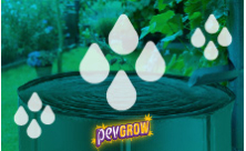 Serbatoio raccolta acqua piovana per irrigazione