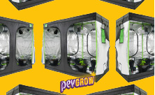 Groβe Grow-Box