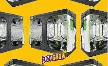 Duże namioty uprawne