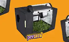 Mini grow box