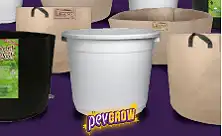 Apaļie podi
