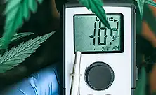 Termohigròmetres per al conreu interior