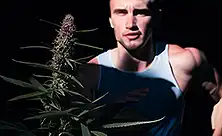 CBD pro sportovce