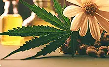 CBD-Produkte