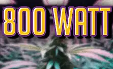 Φώτα καλλιέργειας 800W LED