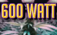 LED Grow Lights 600W