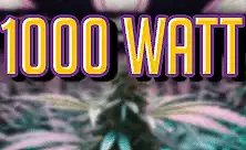 Професійні LED фітолампи 1000 Вт