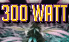 LED фитолампы 300 Вт