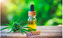 Prémiové CBD terpeny a e-liquidy