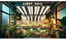 Light Rail системи за вътрешно отглеждане