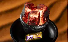 Oglje za hooko in naravna kokosova ogljiča