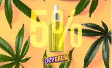 5% CBD õli