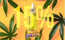 Oli de CBD 15%