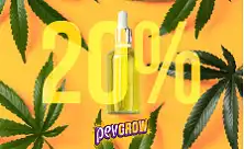 CBD olja 20%
