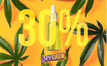 CBD масло 30%