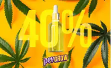 Έλαιο CBD 40%