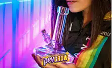 Bongs de Vidro