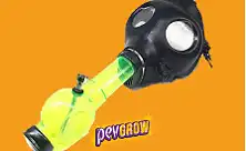 Bong Maskara