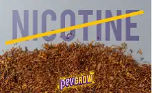 Tabaco sem Nicotina e Misturas Herbais