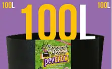 Саксии 100 литра